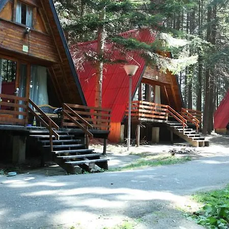 Yagoda 3*